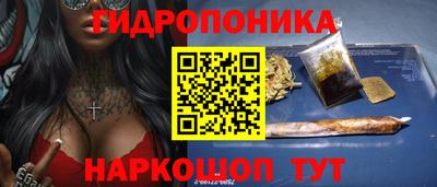 шишки Будённовск