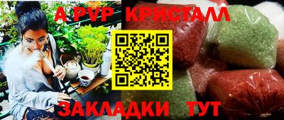 шишки Будённовск